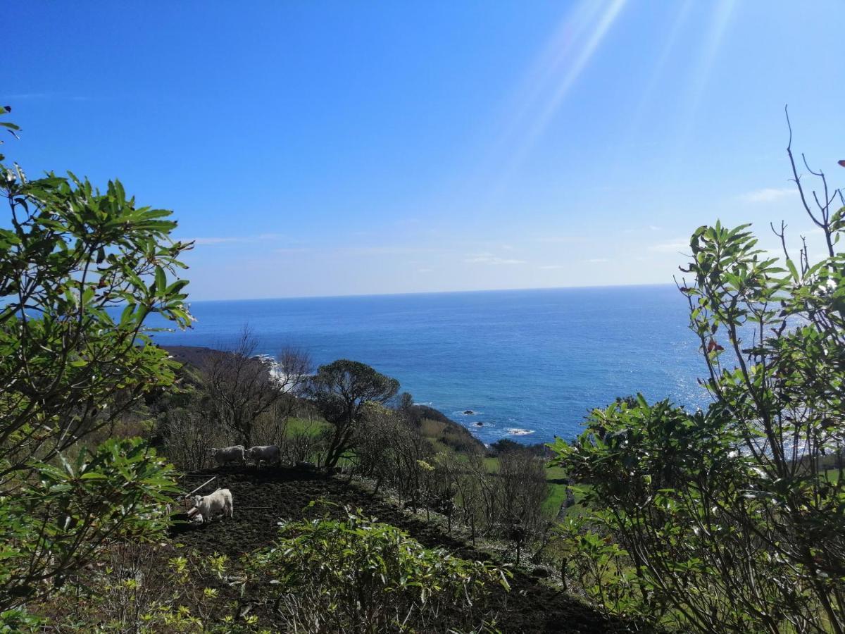A Casa Do Ti Mendonca Villa Lajes das Flores Bagian luar foto